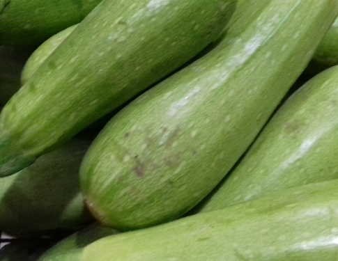 Zucchina Sarda